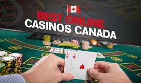 Best Live Casinos Online Your Guide to the Top Choices Best Live Casinos Online Your Guide to the Top Choices