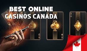 Best Live Casinos Online Your Guide to the Top Choices Best Live Casinos Online Your Guide to the Top Choices