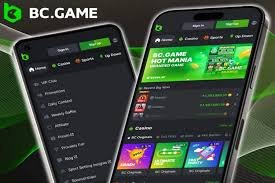 Experience Online Gaming at BC.Game Casino in Pakistan